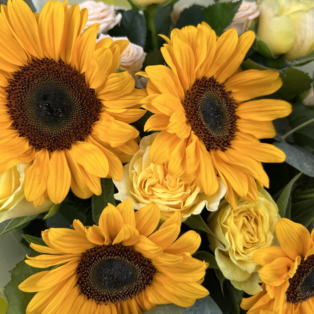 картинка Летние мотивы от магазина 