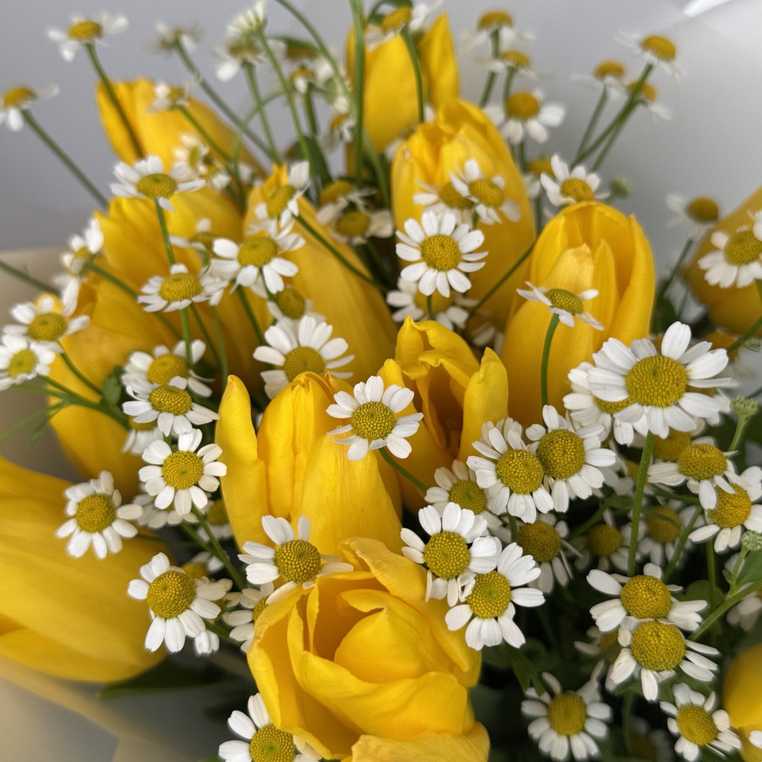 картинка Весеннее вдохновение от магазина 