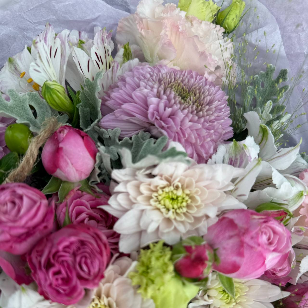 картинка Летняя свежесть от магазина 