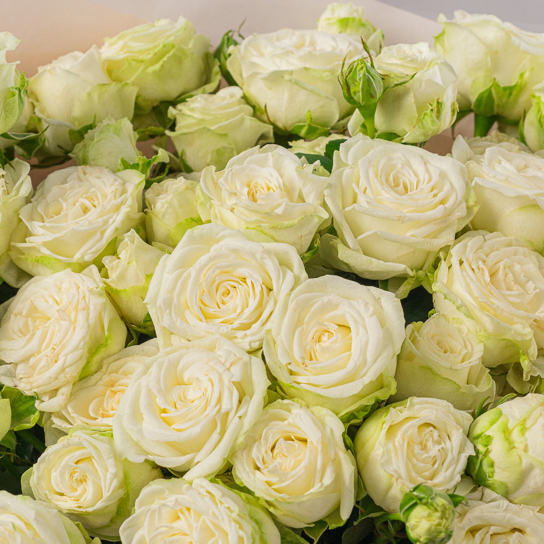 картинка Объятие света от магазина 