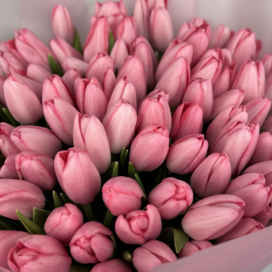 картинка Трепетное ожидание от магазина 