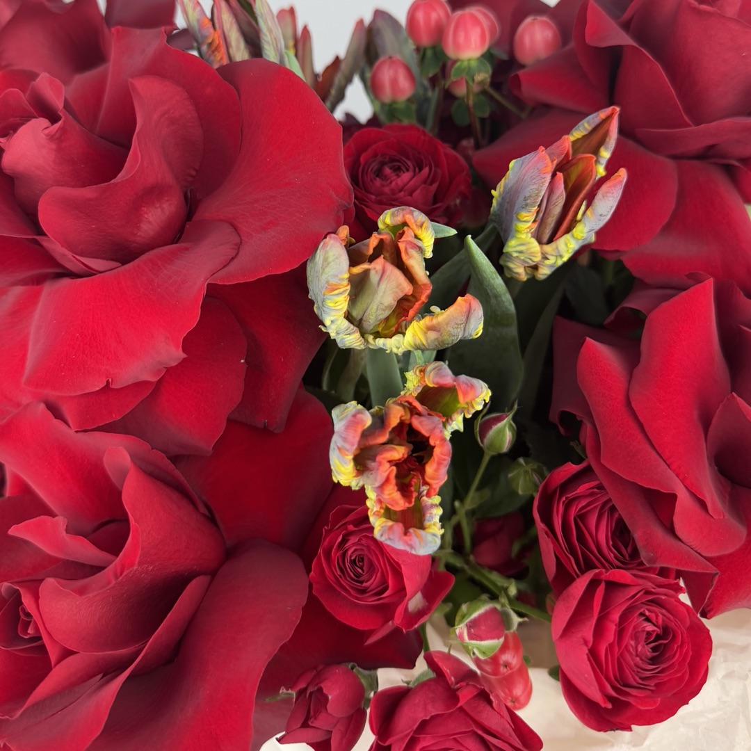 картинка Драгоценность от магазина 