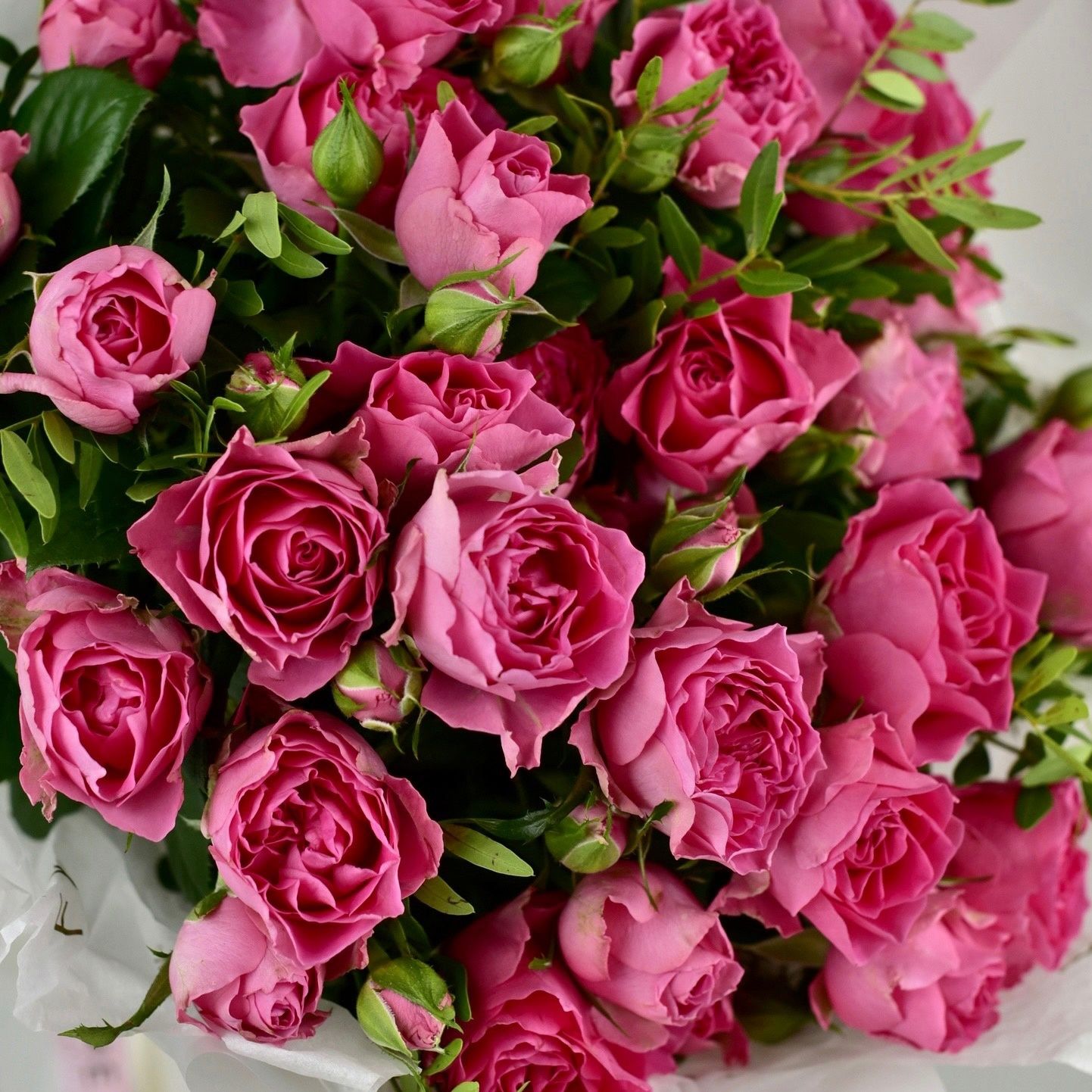 картинка Букет из роз Лили от магазина 