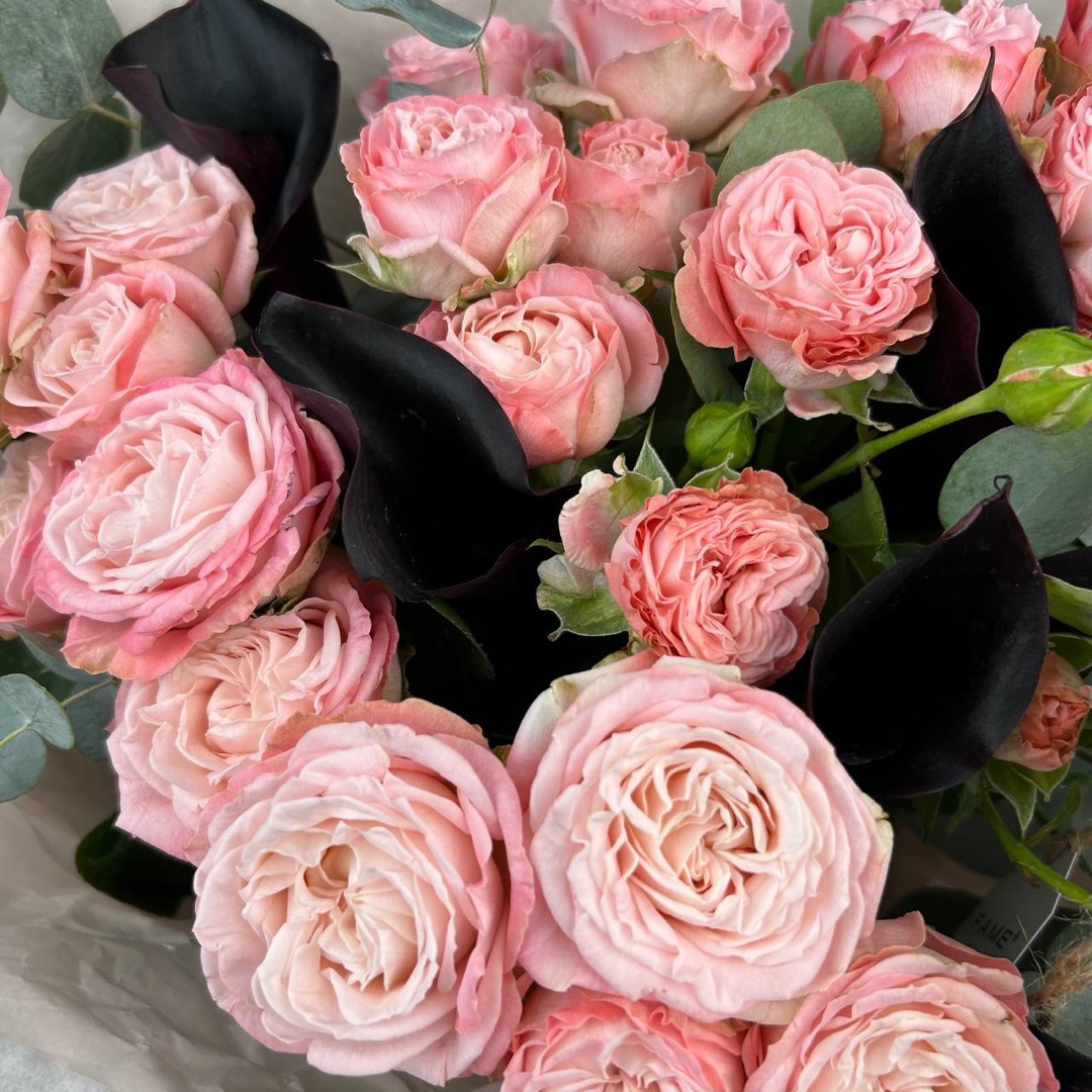 картинка Розовый восход от магазина 