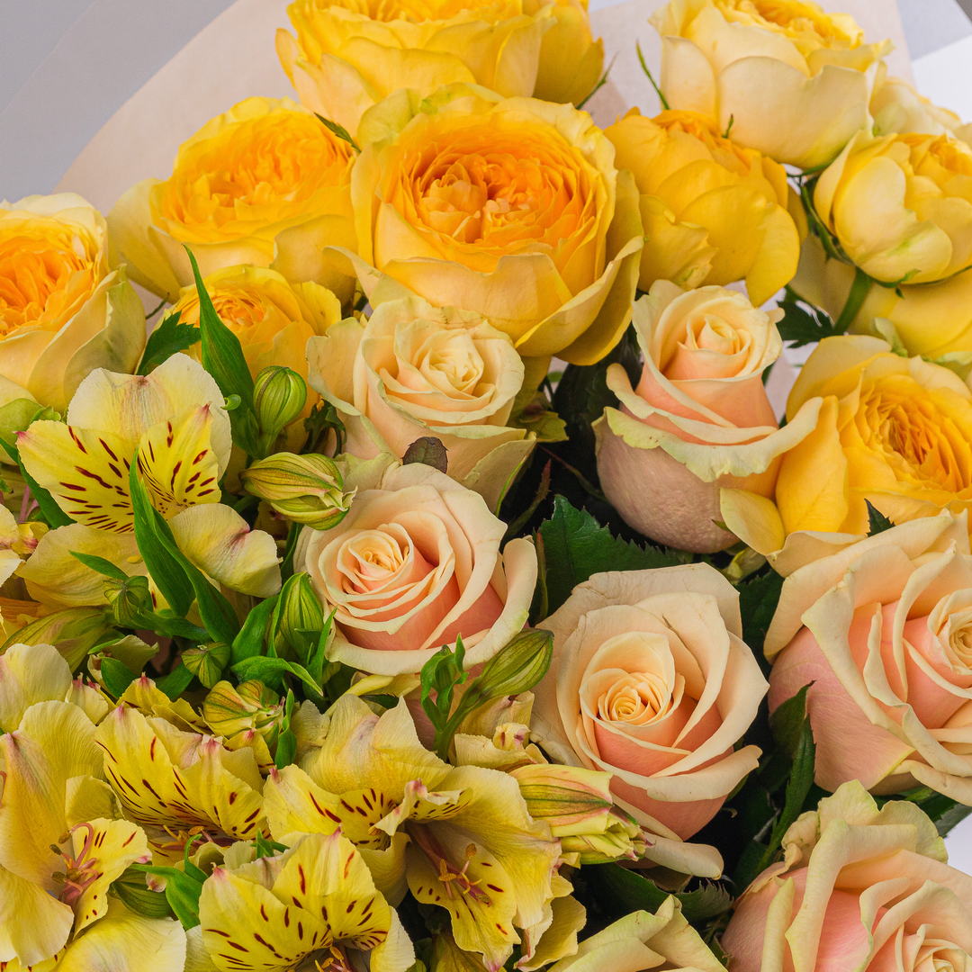 картинка Цвет солнца от магазина 