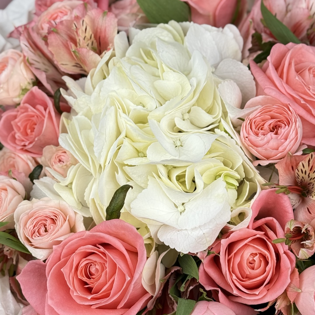 картинка В объятиях цвета от магазина 