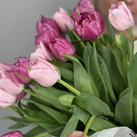 Корзина с тюльпанами + игрушка