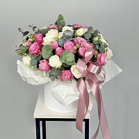 Wow-композиция