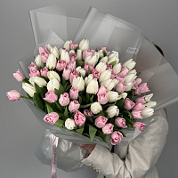 101 нежный тюльпан