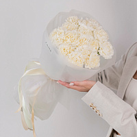 Букет из 15 белых диантусов