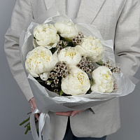 Белая жемчужина