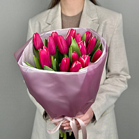 Малиновые тюльпаны, 15 шт