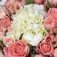 В объятиях цвета