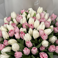 101 нежный тюльпан