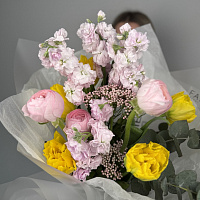 Чистая линия